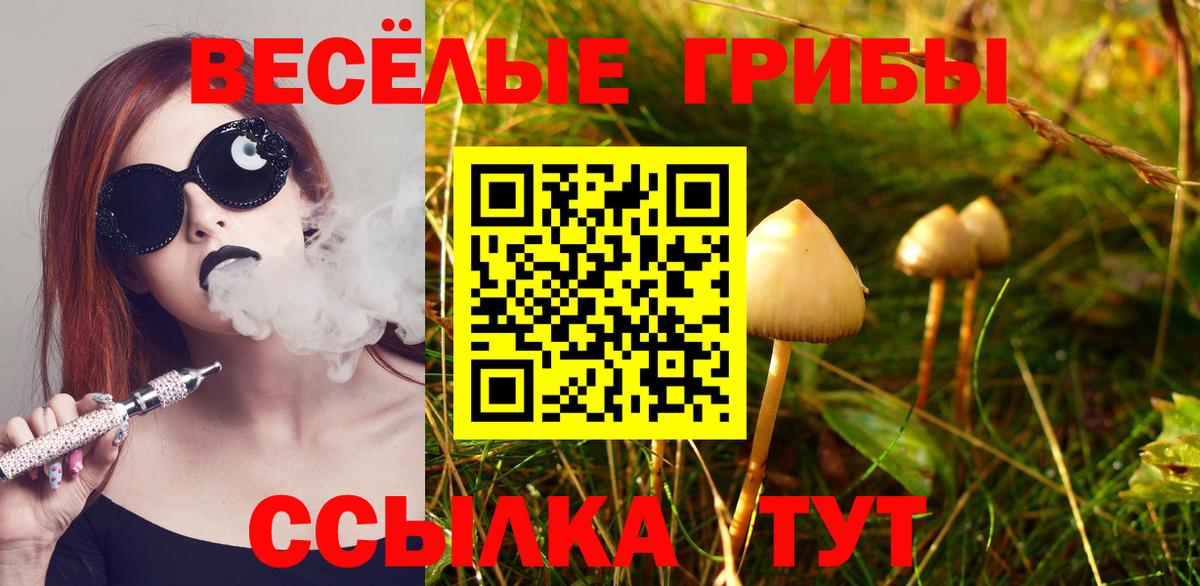 Псилоцибиновые грибы Psilocybe  Вход с VPN  Наро-Фоминск  Галлюциногенные грибы ЛСД 